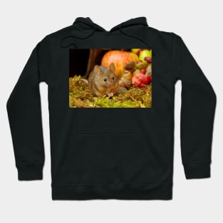 wild house mouse  with apples Hoodie